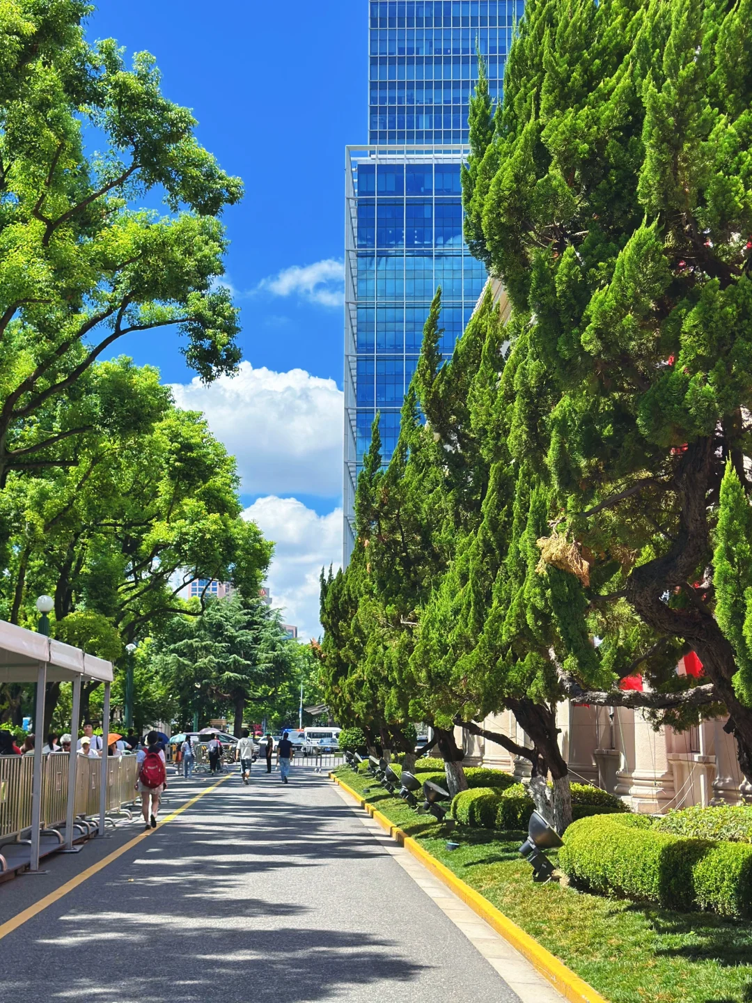 一定要去的展览！上海书展2025