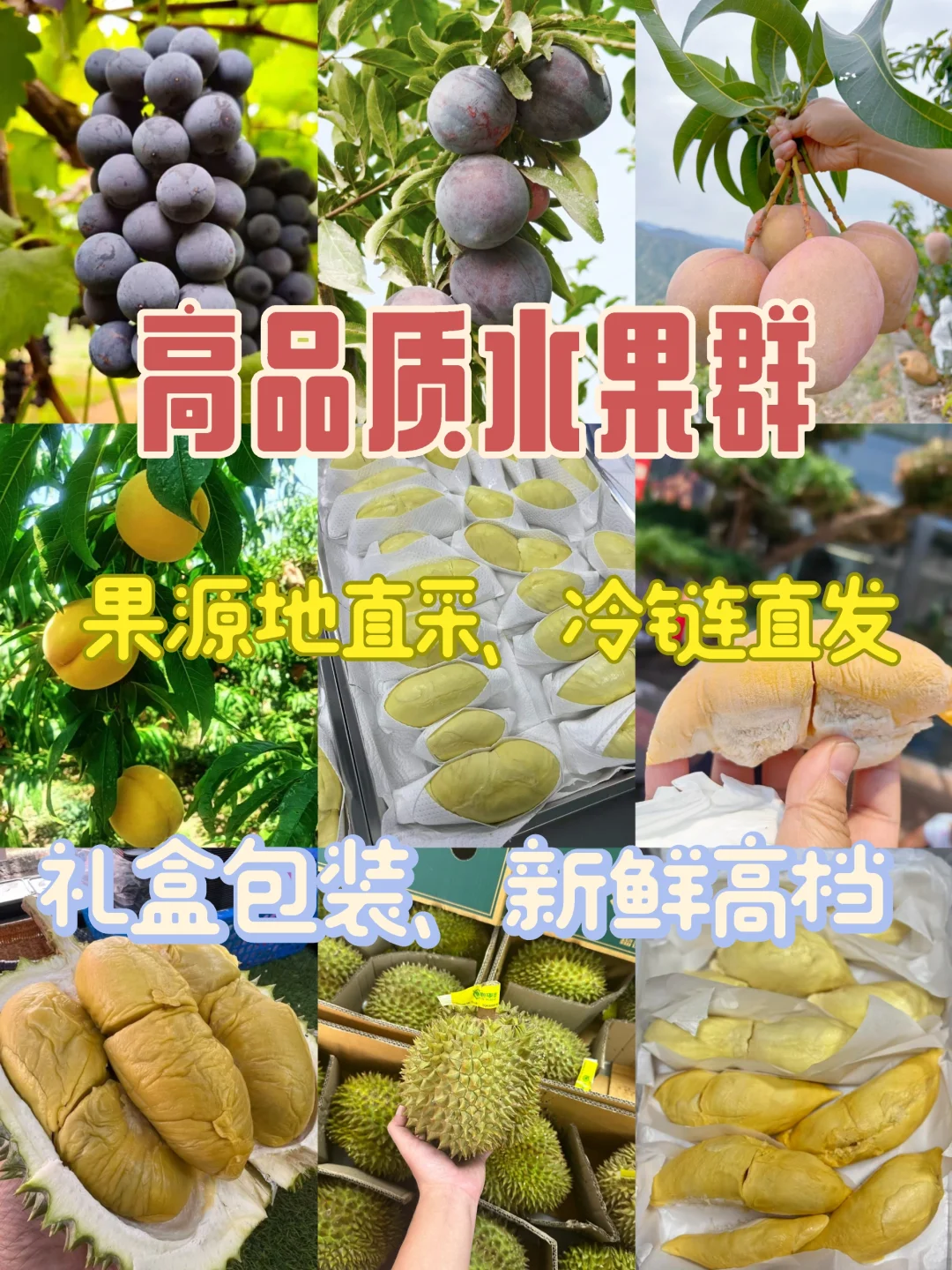 广佛水果团购群，我不允许你还不知道！