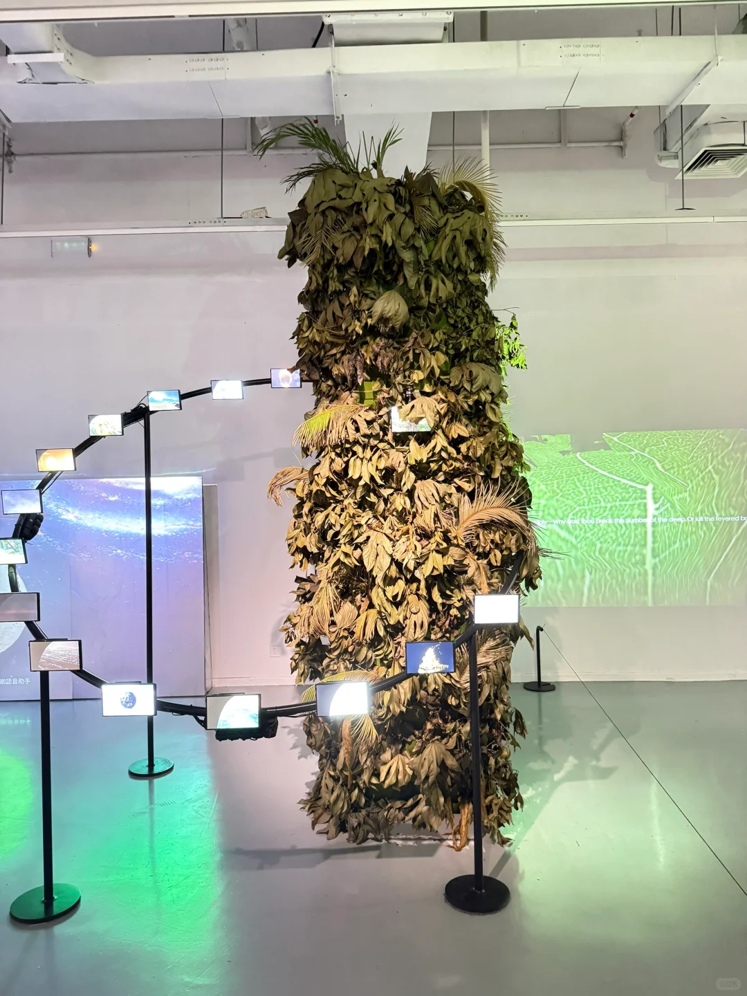 苏州新展|「观」见「视」界|艺术与科技融合
