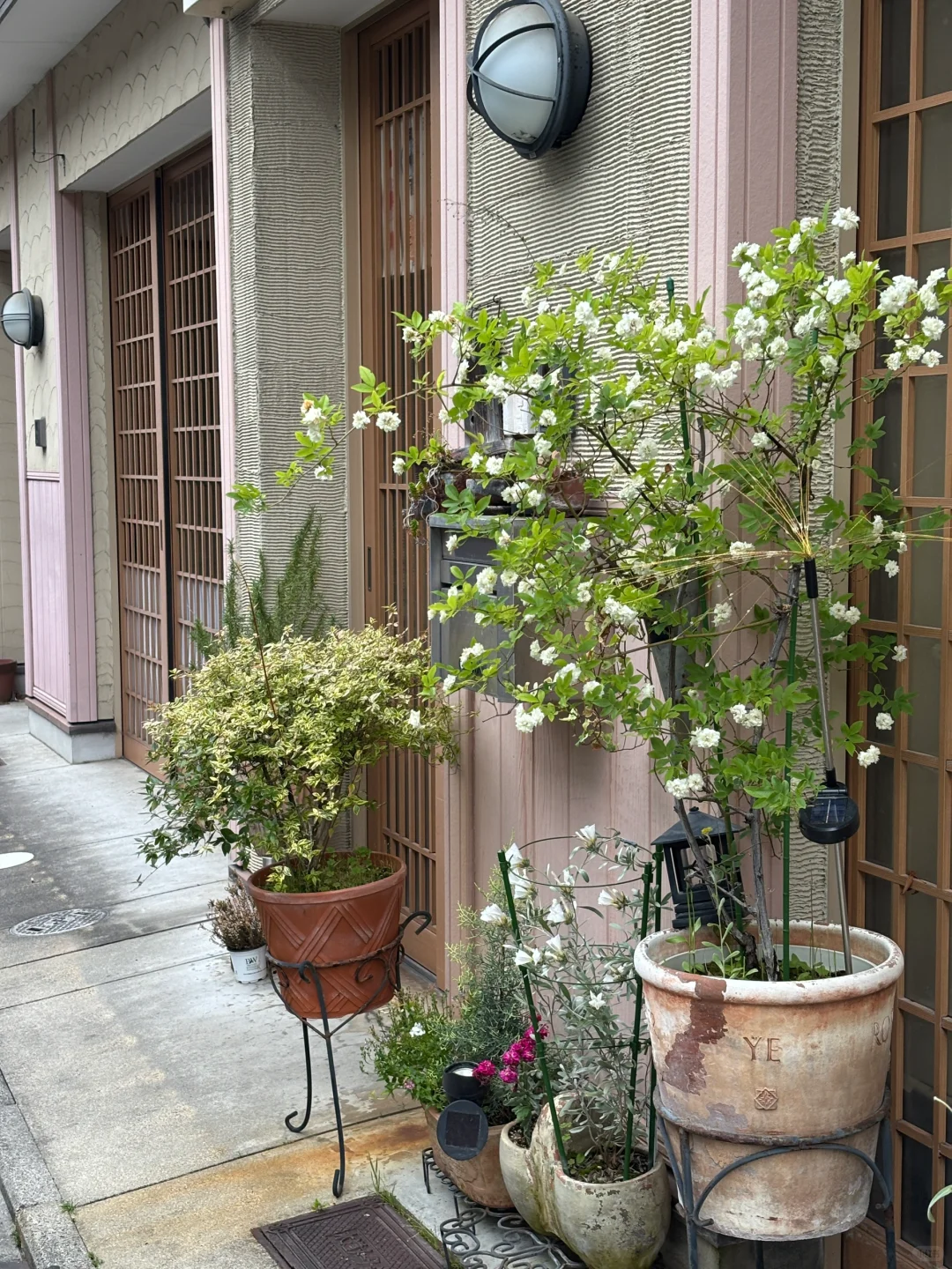 京都少妇? の一日行