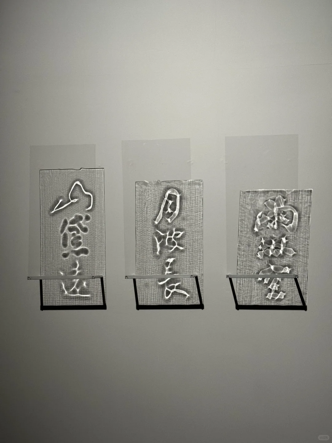 去天目里新展玩火了