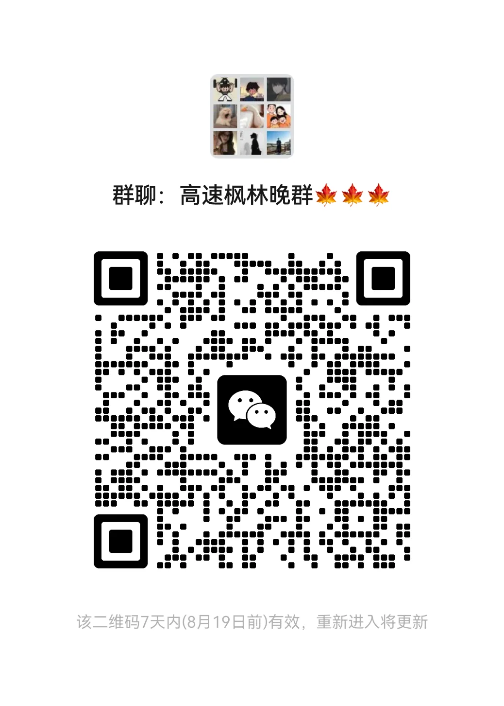 高速公路枫林镜群