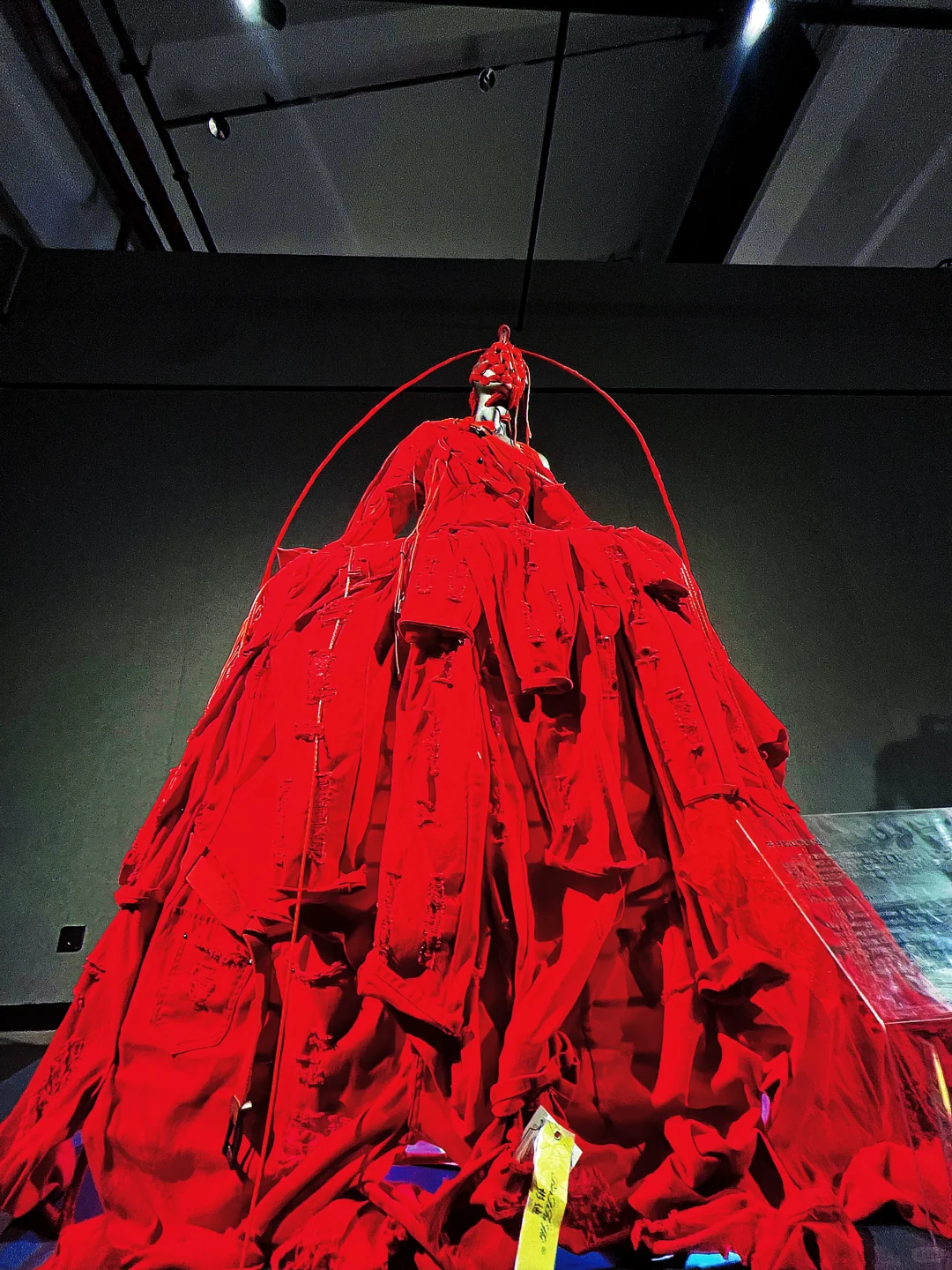 柳州新展| ?被红色鱼群“包围”是什么体验