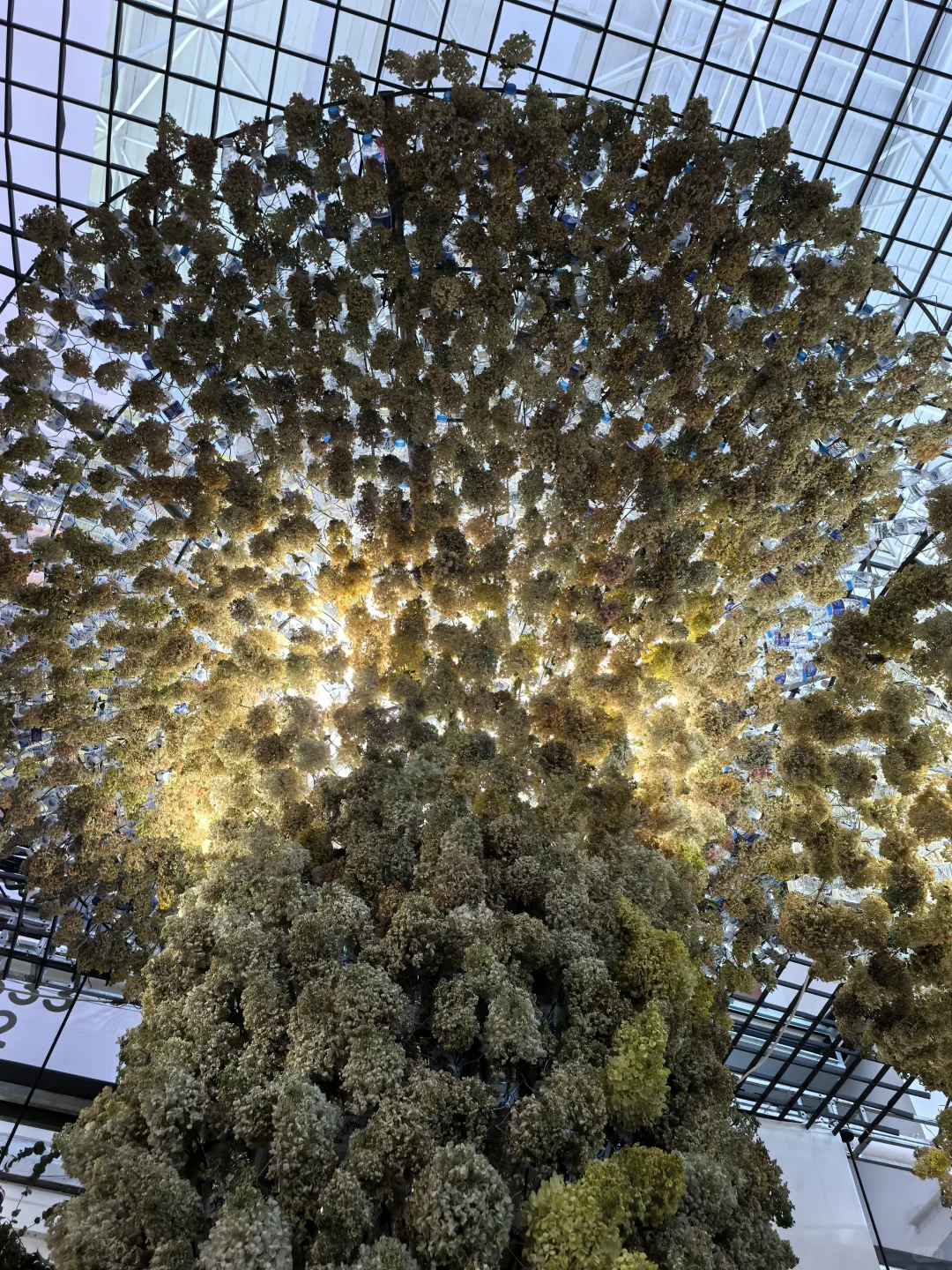 喀什喀交会