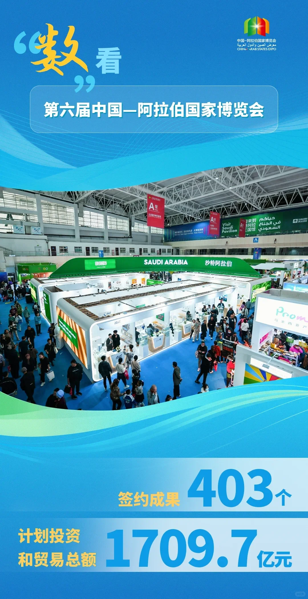 数说中阿博览会