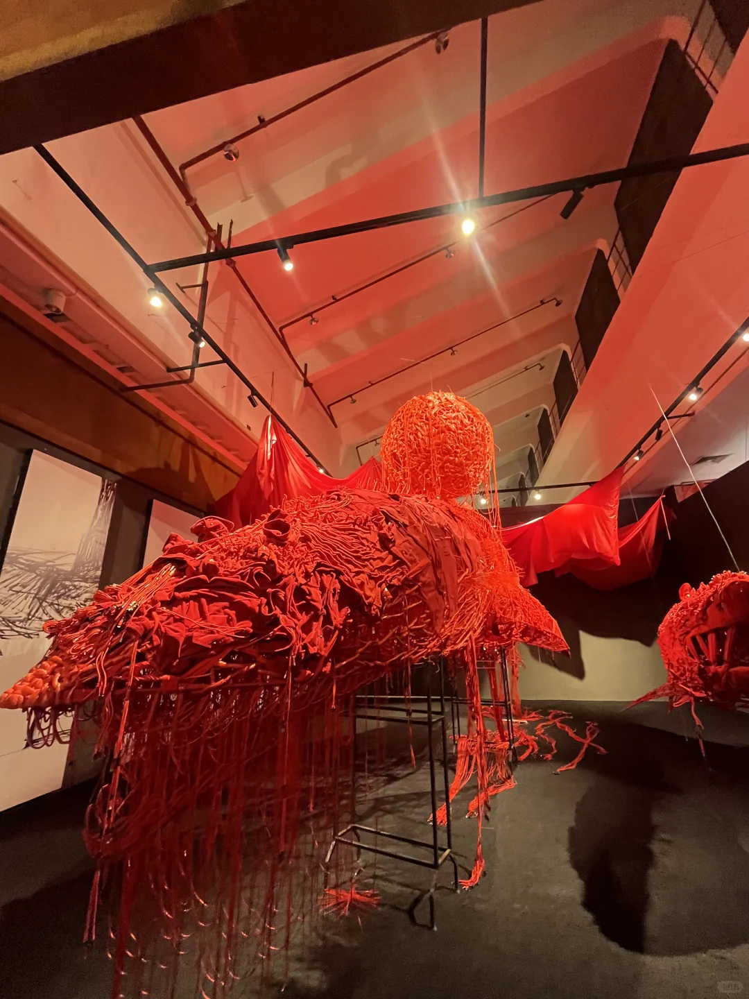 柳州新展| ?被红色鱼群“包围”是什么体验