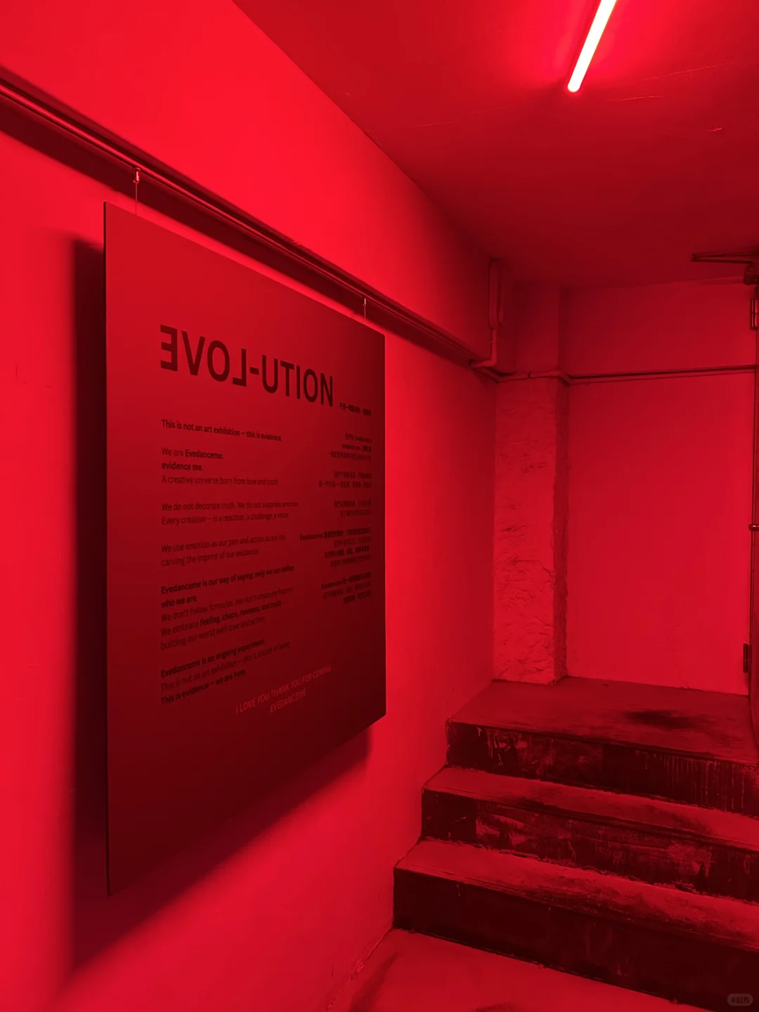 ? 倒數 Day 3｜走進愛的實驗室?