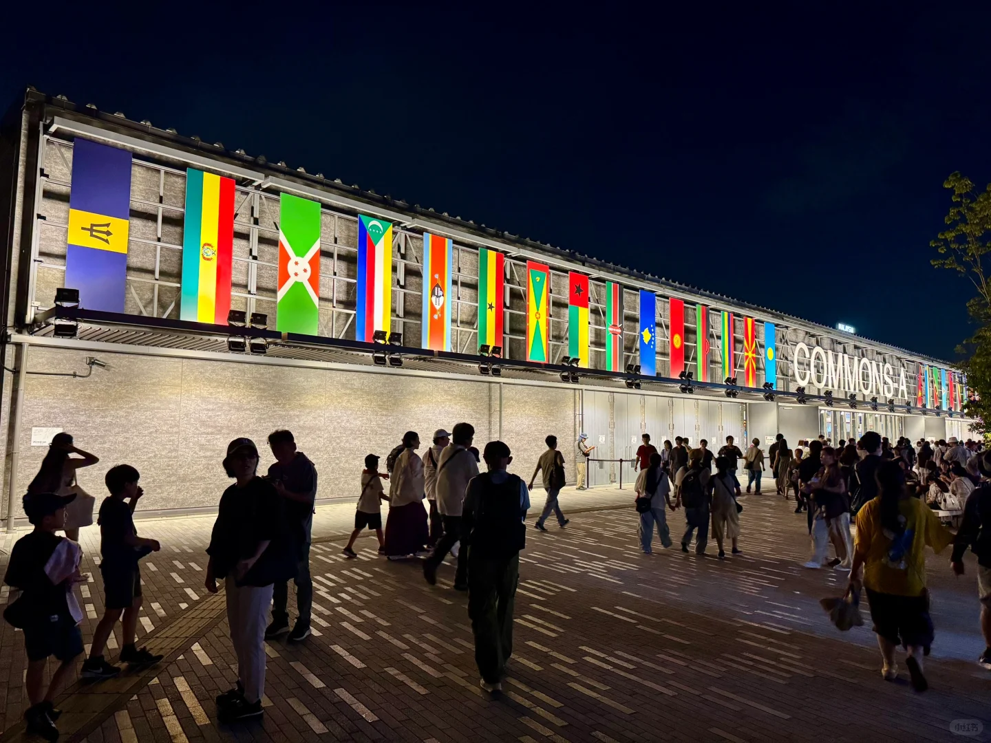 Day12?2025年世界博覽會