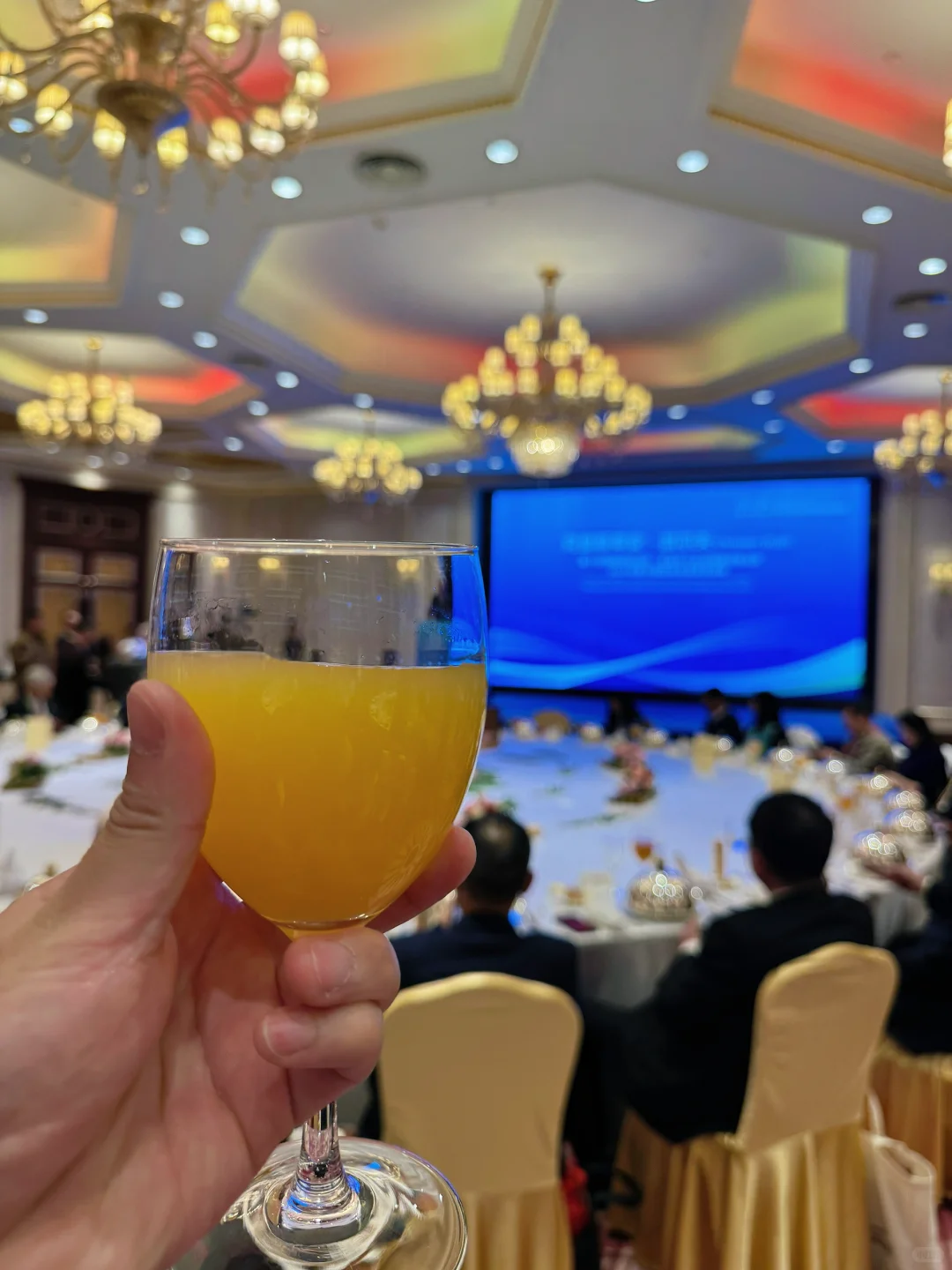 2025全球可持续发展总统晚宴