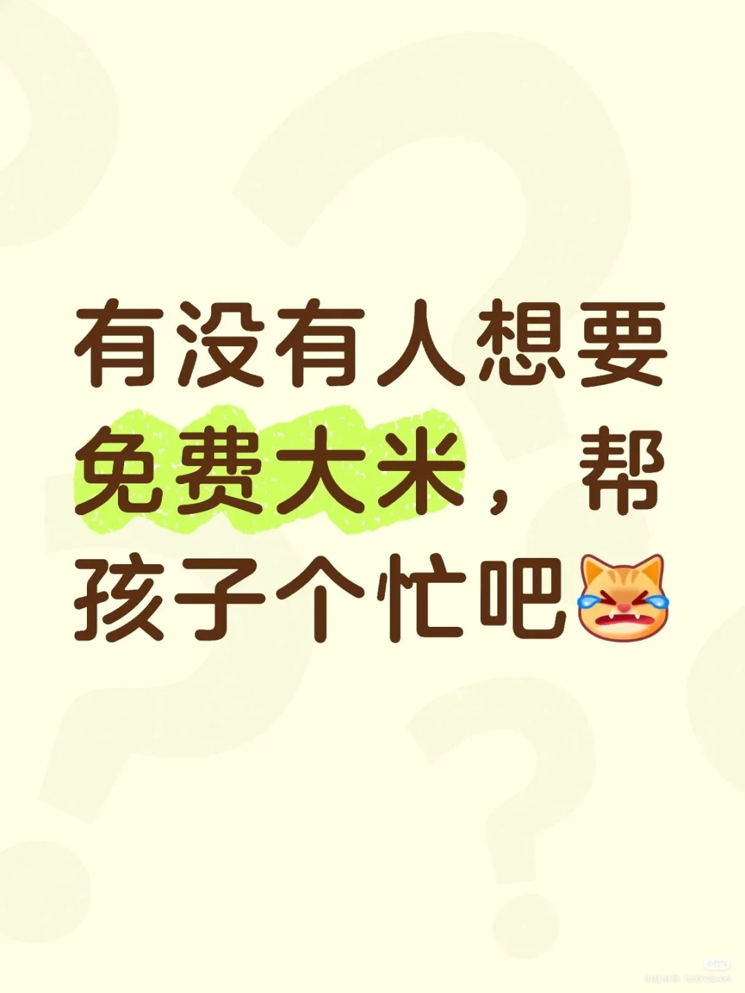 中国平安新人推介会插花活动