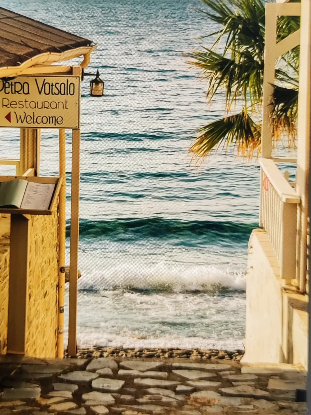 56岁单身！谁陪我来一场说走就走的旅行