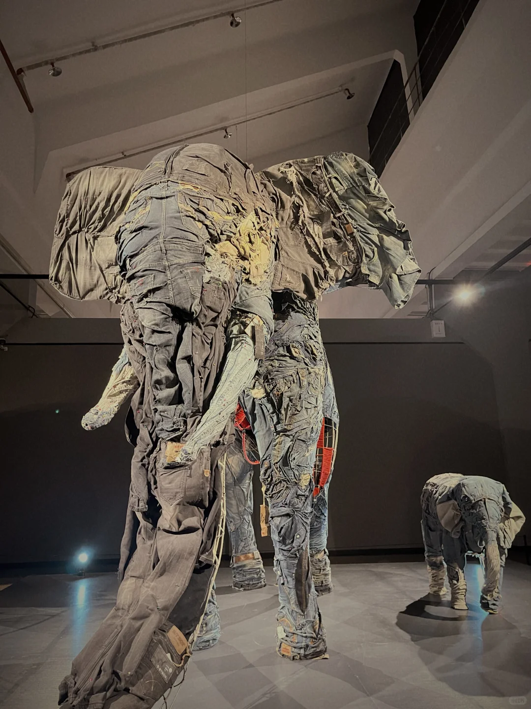 柳州新展| ?被红色鱼群“包围”是什么体验