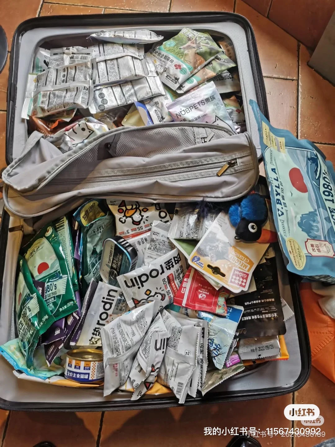 深圳铲屎官速进！20元畅玩3天深圳宠物展?