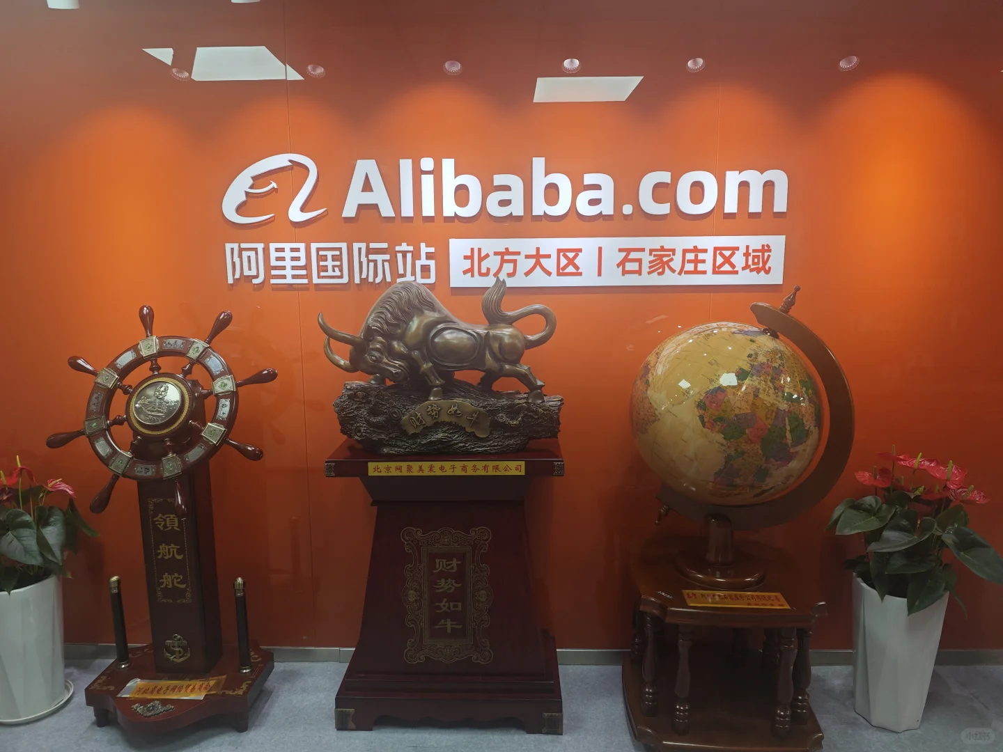 石家庄外贸峰会来啦???