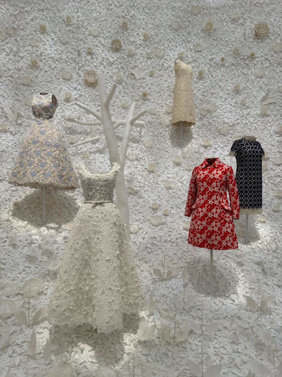 一不小心走进了Dior的时装世界