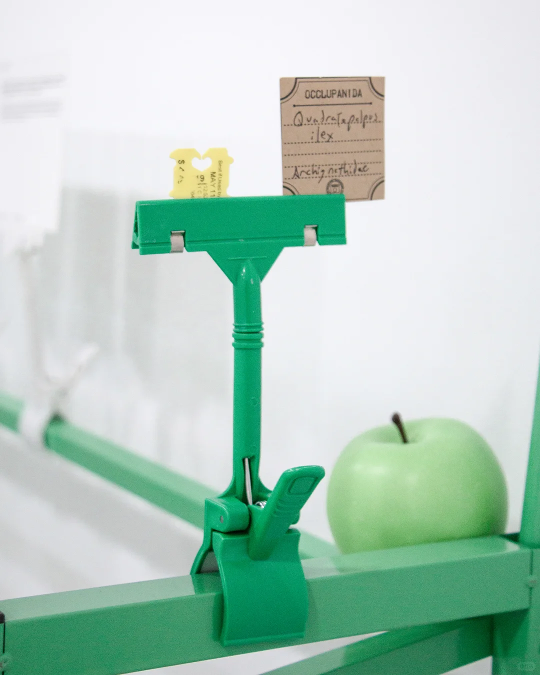 展览现场｜一些面包夹展的现场照片?