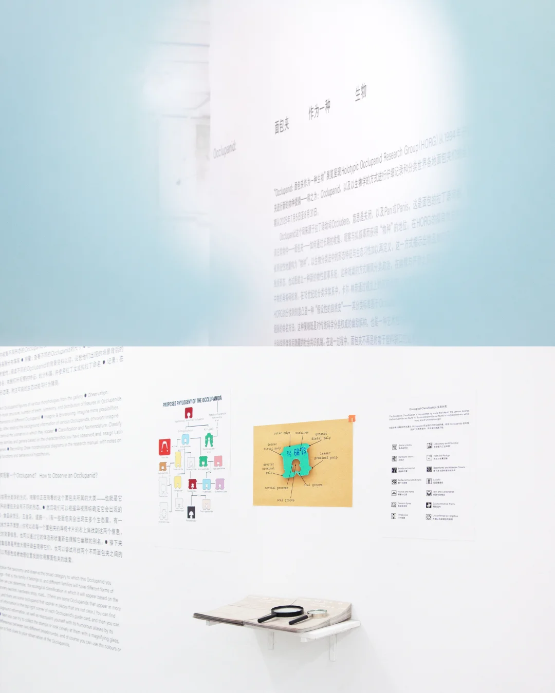 展览现场｜一些面包夹展的现场照片?