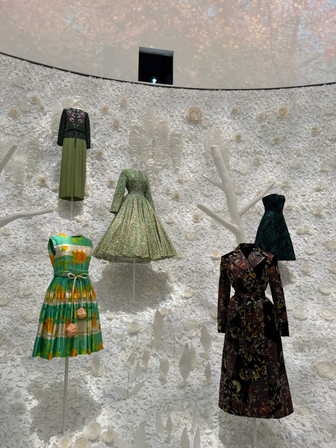 一不小心走进了Dior的时装世界