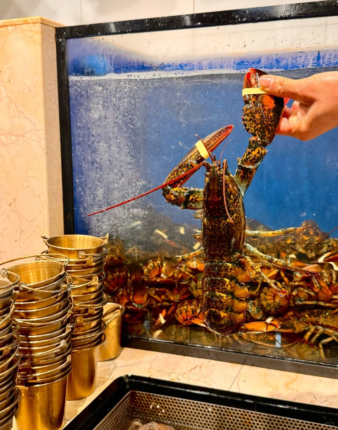 ? 北京第六季｜人均200+轻松拿下！！！