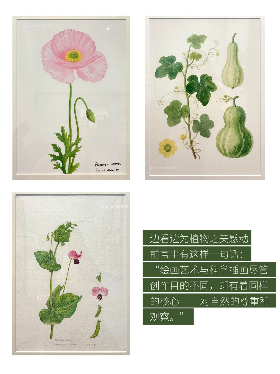 8月深圳值得看的展览合集（主观性很强）