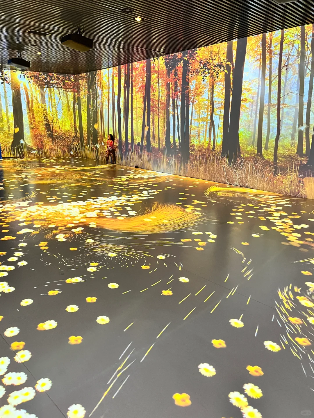 酷炫好玩的光影展?八角湾遛娃圣地打卡！