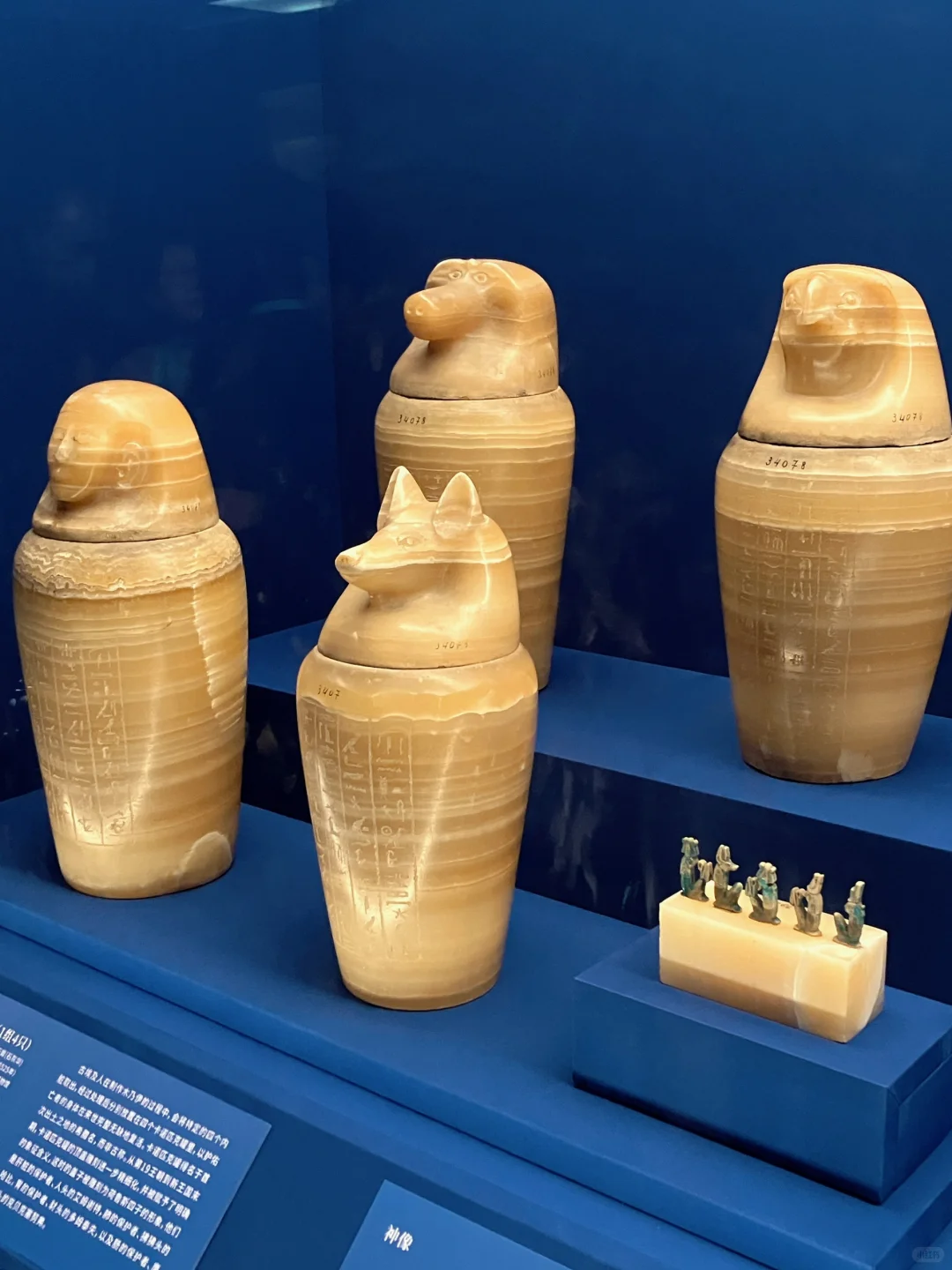 8千万博出7亿，上博古埃及展何以如此成功?️