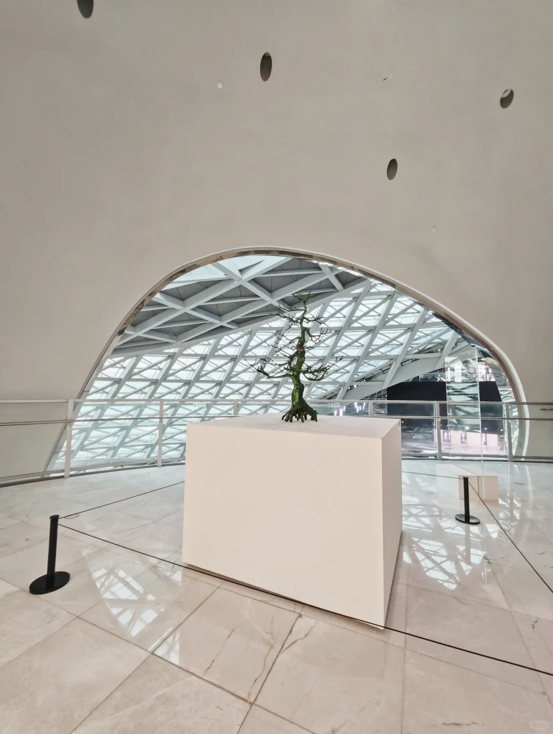 深圳新展｜馆藏级艺术展，艺术建筑双重暴击