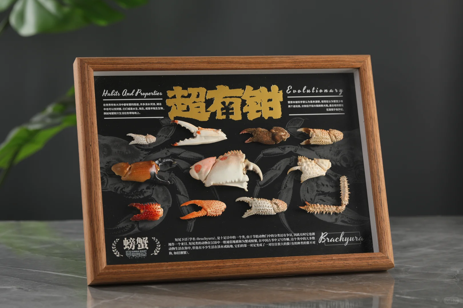 九月！广州见！