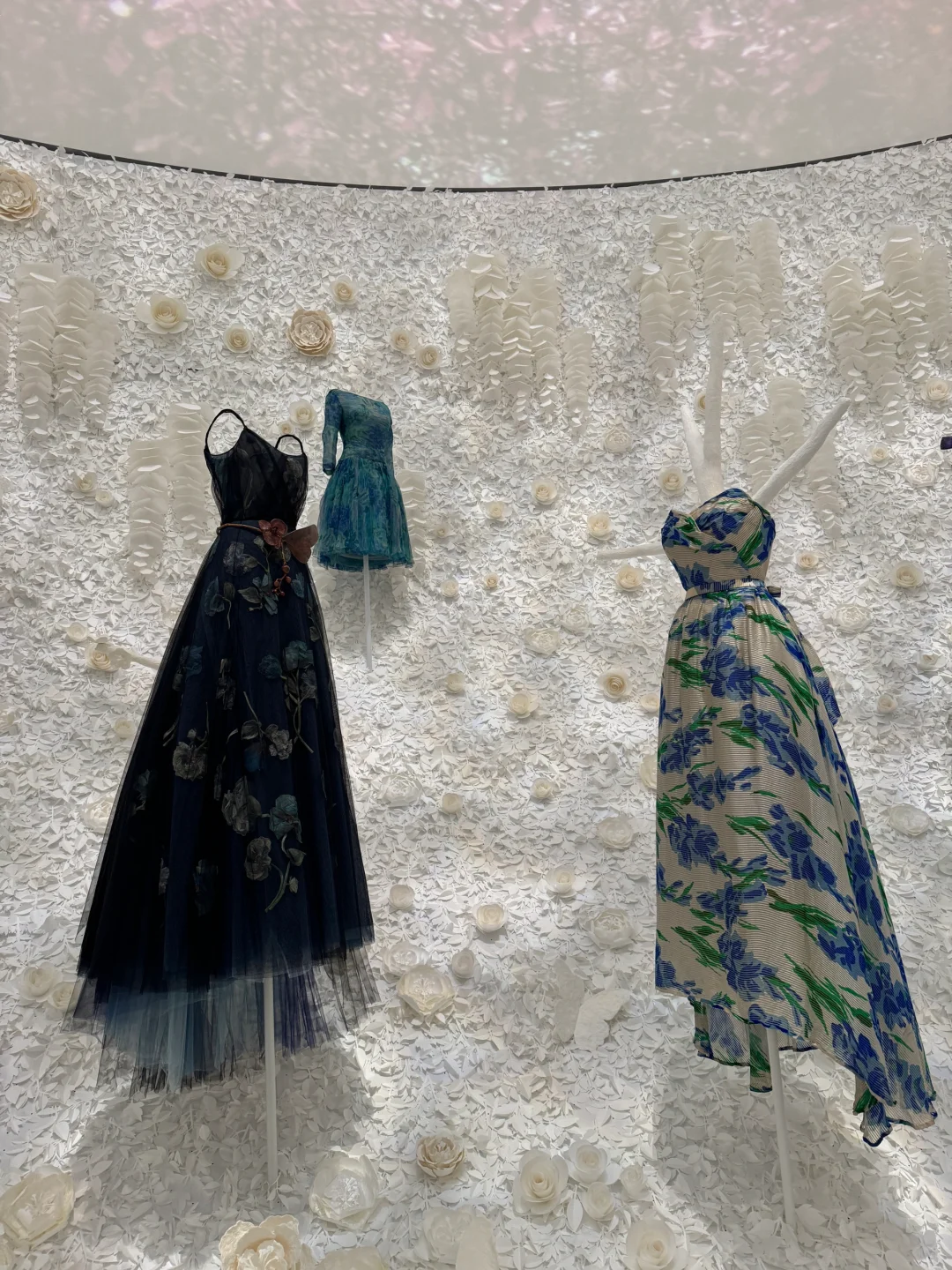 一不小心走进了Dior的时装世界