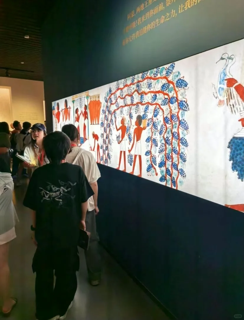 上博埃及展8.13闭幕，约不到票？看这里！
