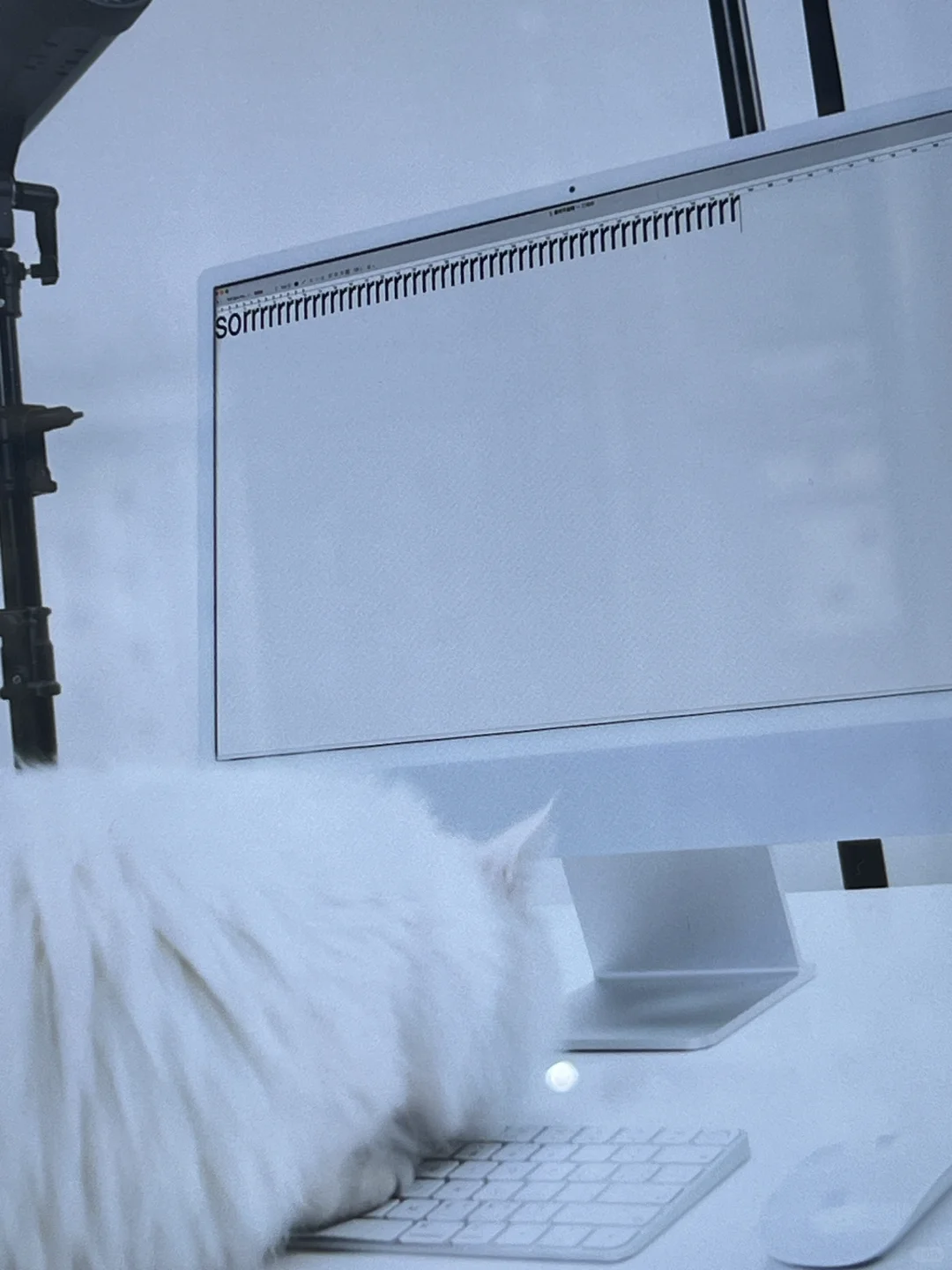 设计狗砖家逛展?