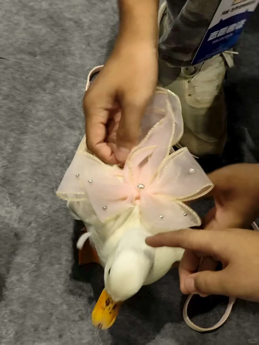 来薅！20 张广州世宠会?，手慢?️