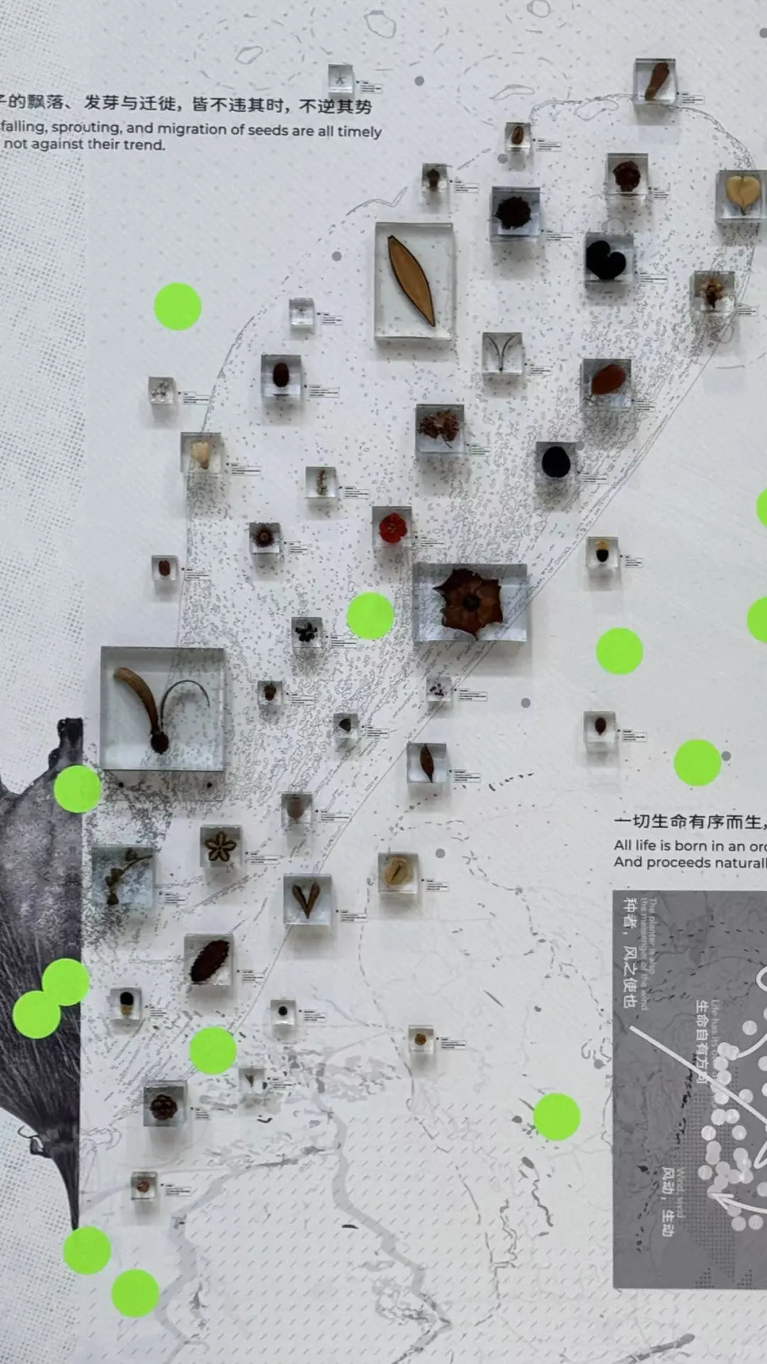 国美毕业展｜超优秀作品设计欣赏?