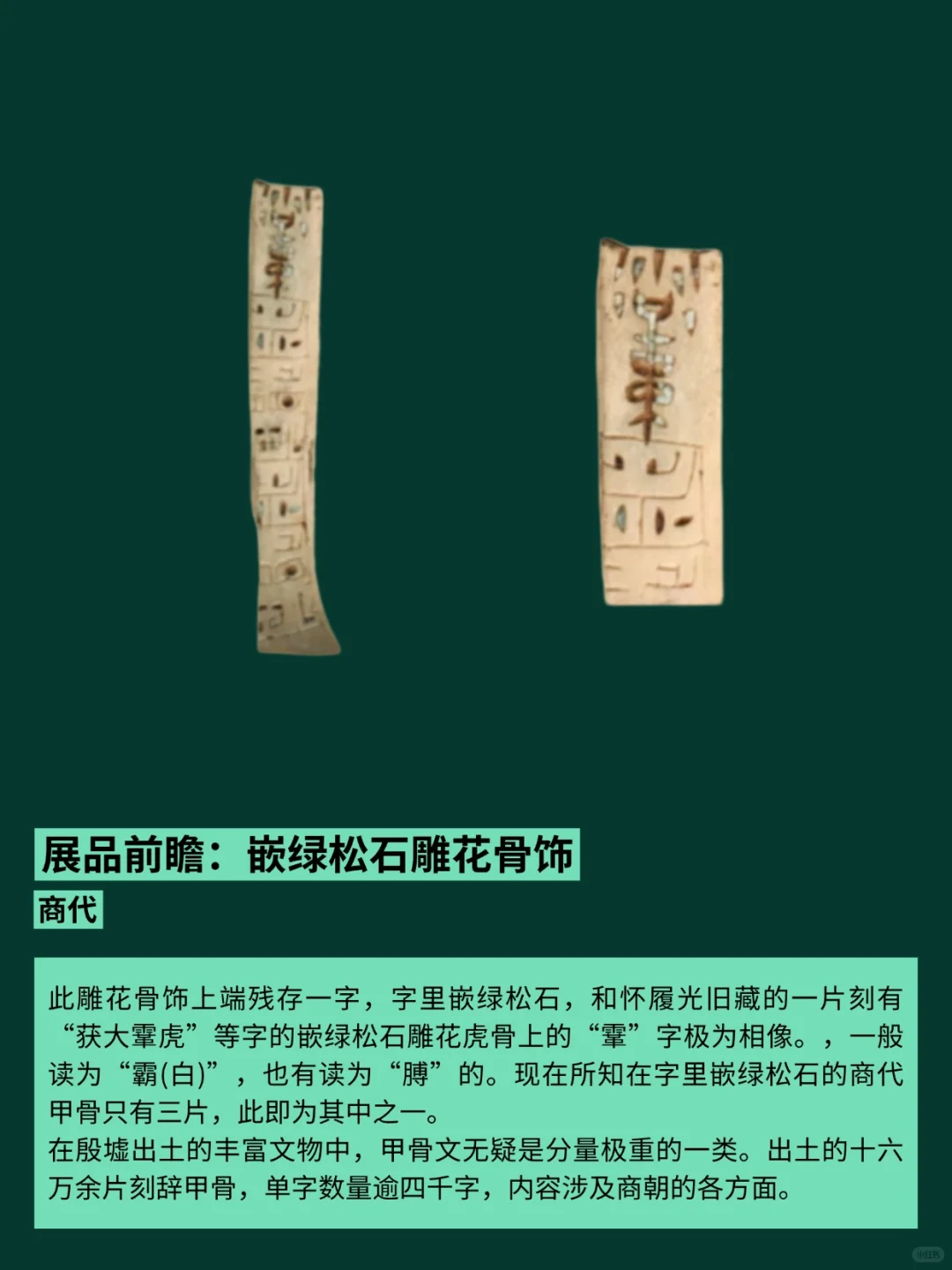 天津博物馆8月23日起举办殷墟商代文物展！