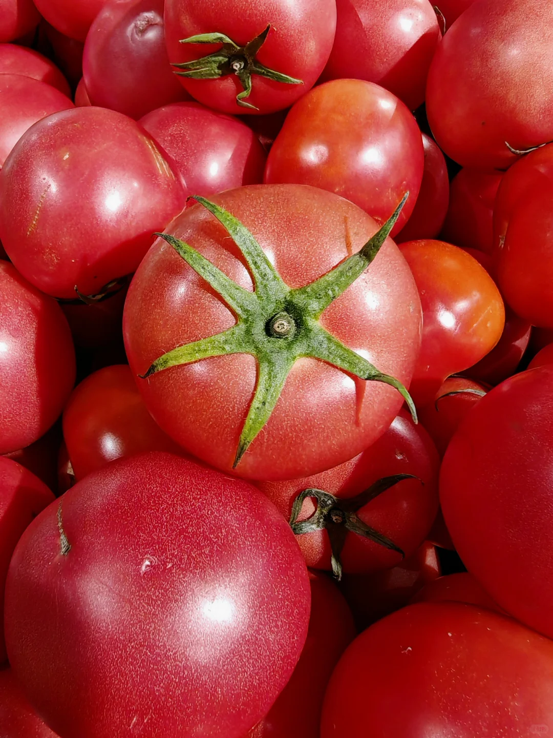 胰岛素抵抗检查全流程｜备孕日记