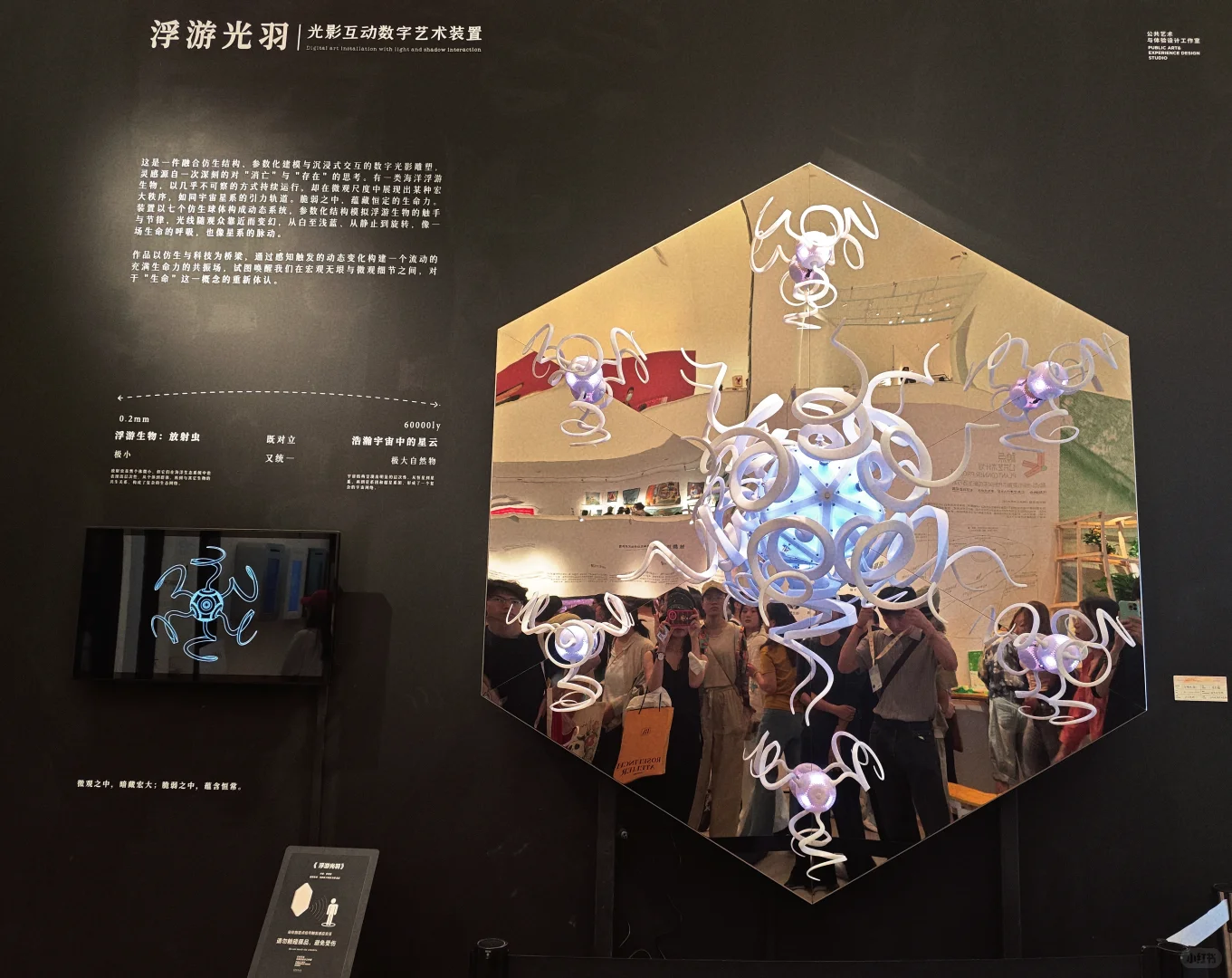 2025央美毕业展，直呼流弊！！！