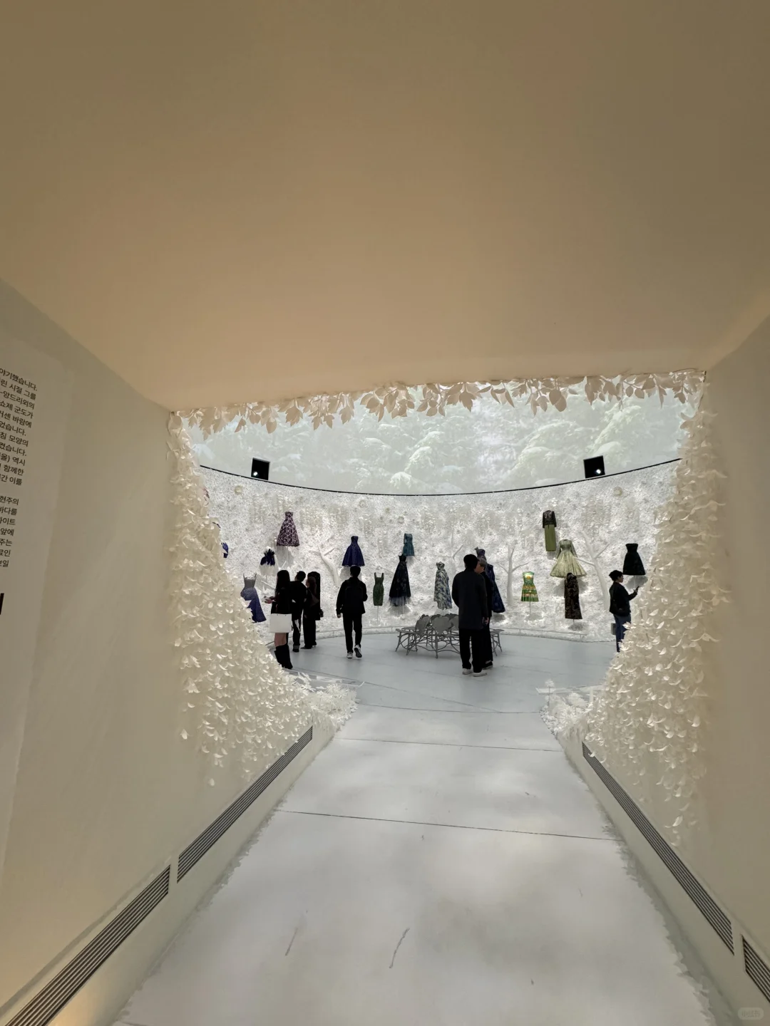 一不小心走进了Dior的时装世界