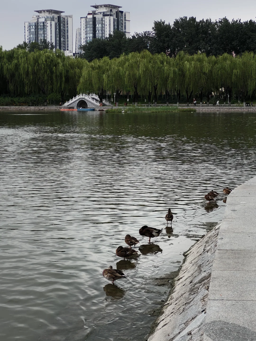 北京小众展馆：农展