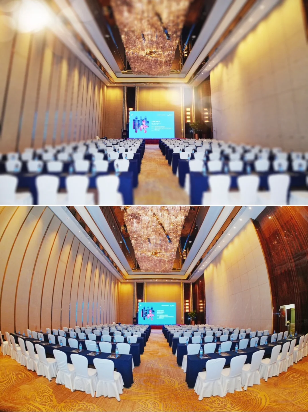 商务活动跟拍 德国北威洲推介会