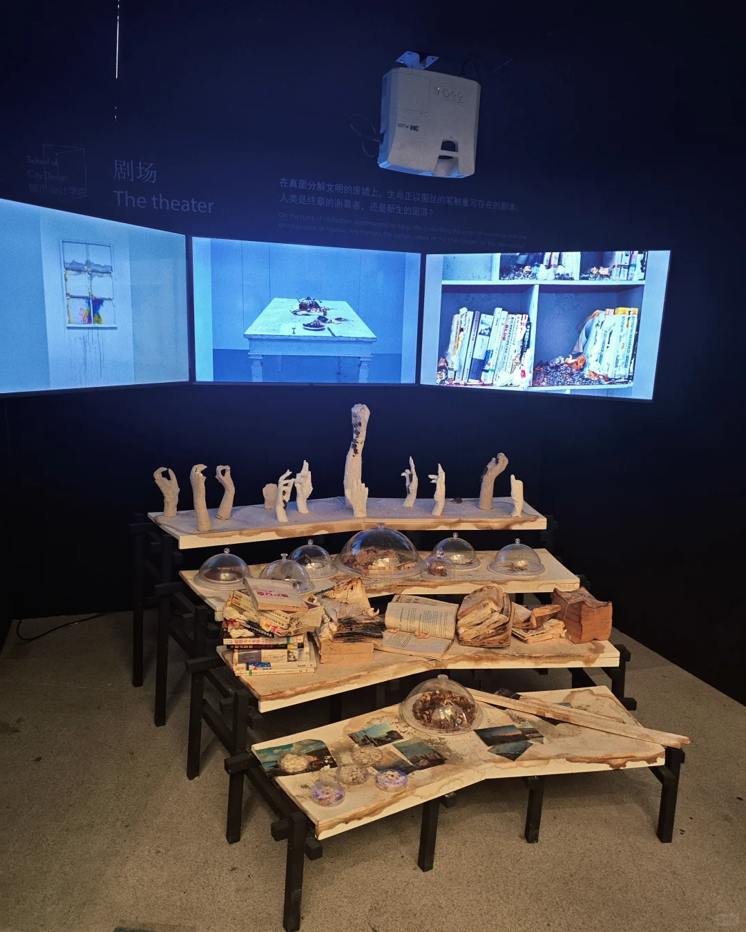 2025央美毕业展，直呼流弊！！！