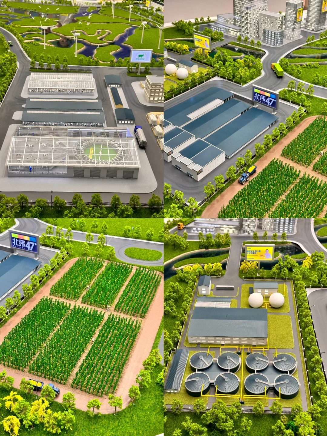 为了这一扇窗也要来的飞鹤工厂?