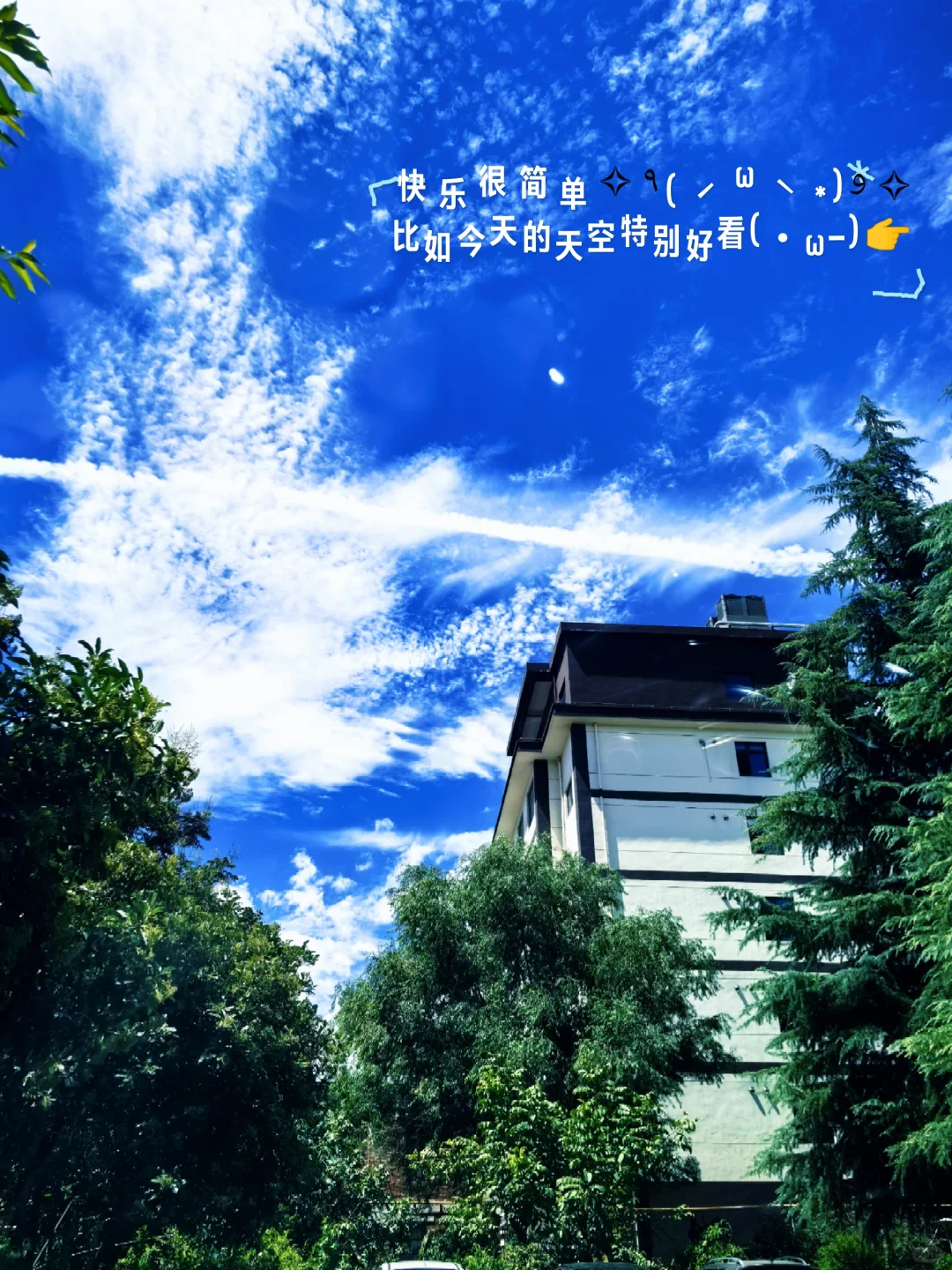 81 年 44 岁｜单身、无孩、独居女性