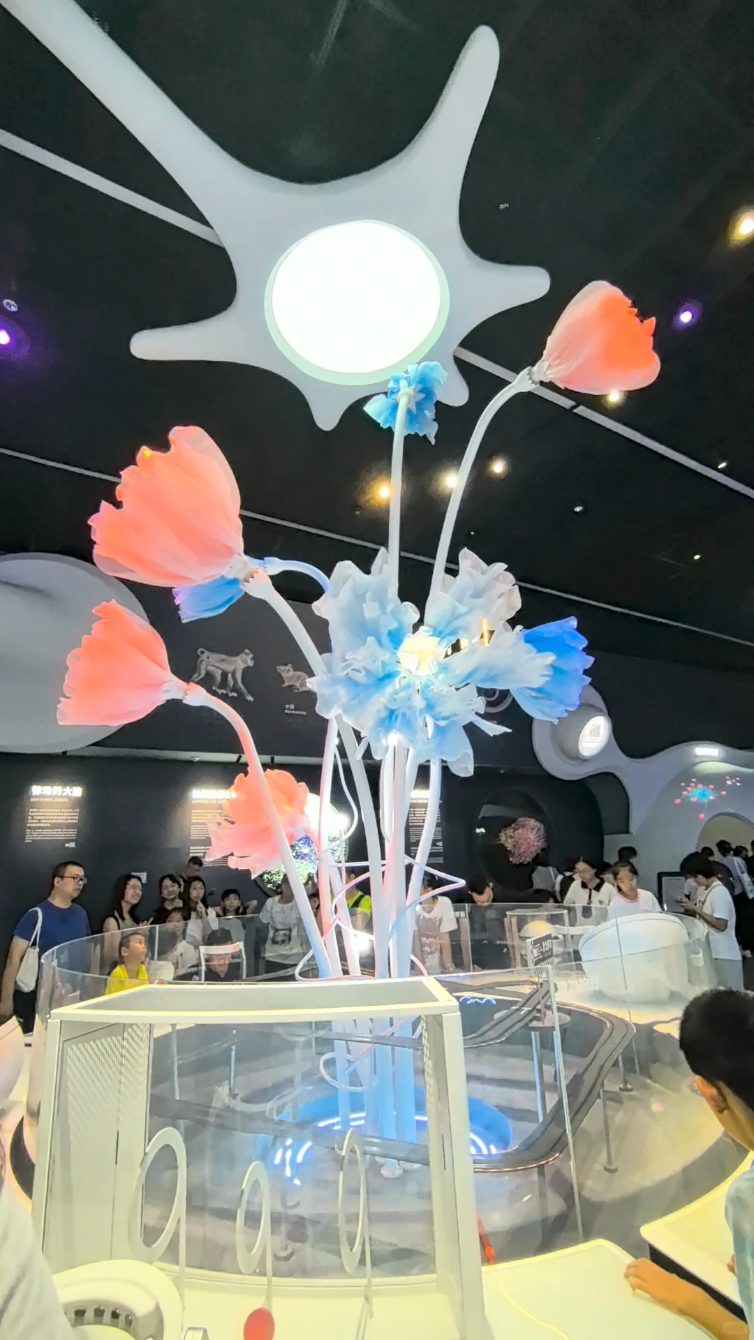 带娃打卡深圳光明科学馆详细攻略分享