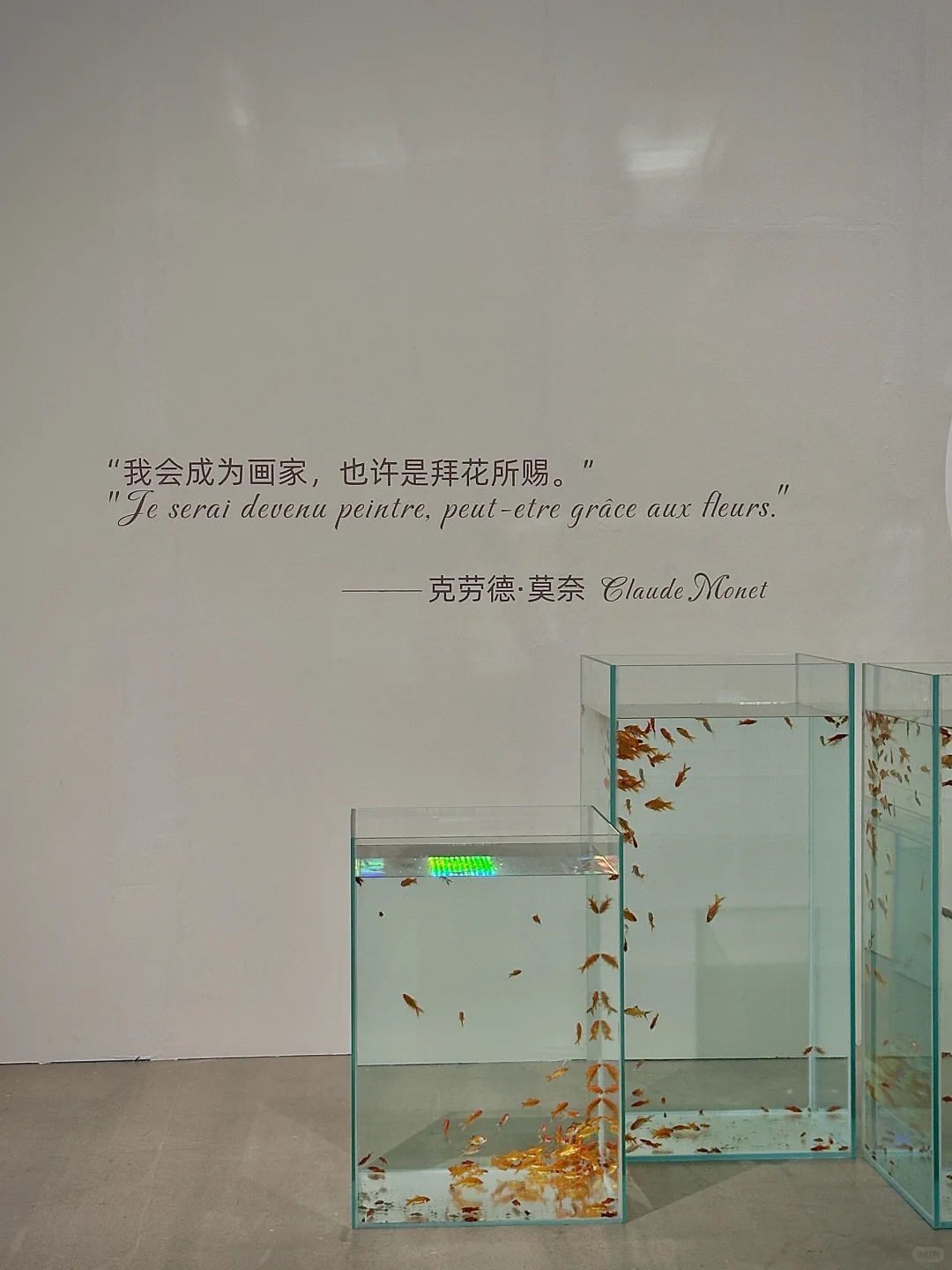 深圳看展,盛夏的莫奈是光的诗人…