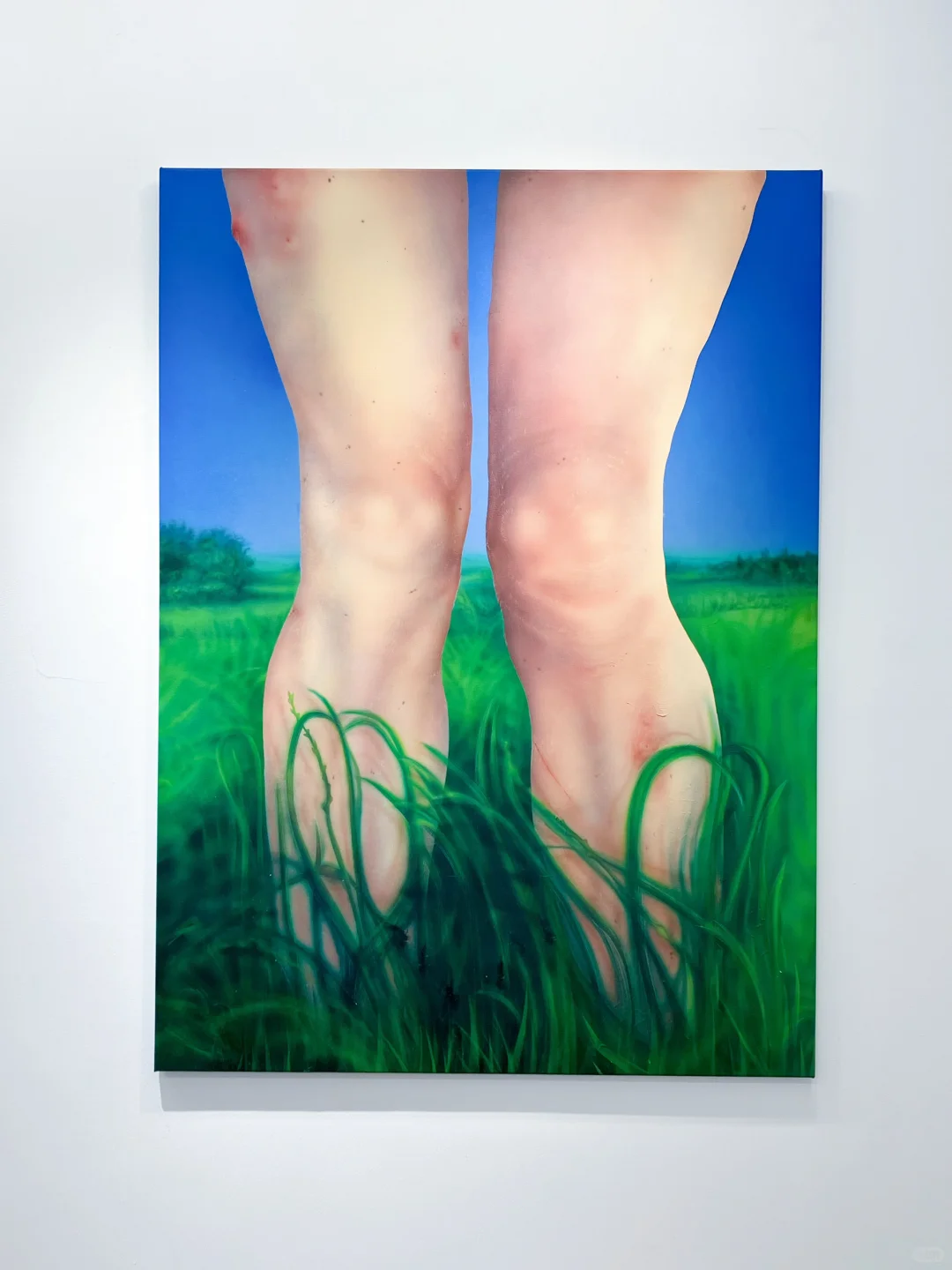 上海免费看展｜2个新展·标准化的梦境商品