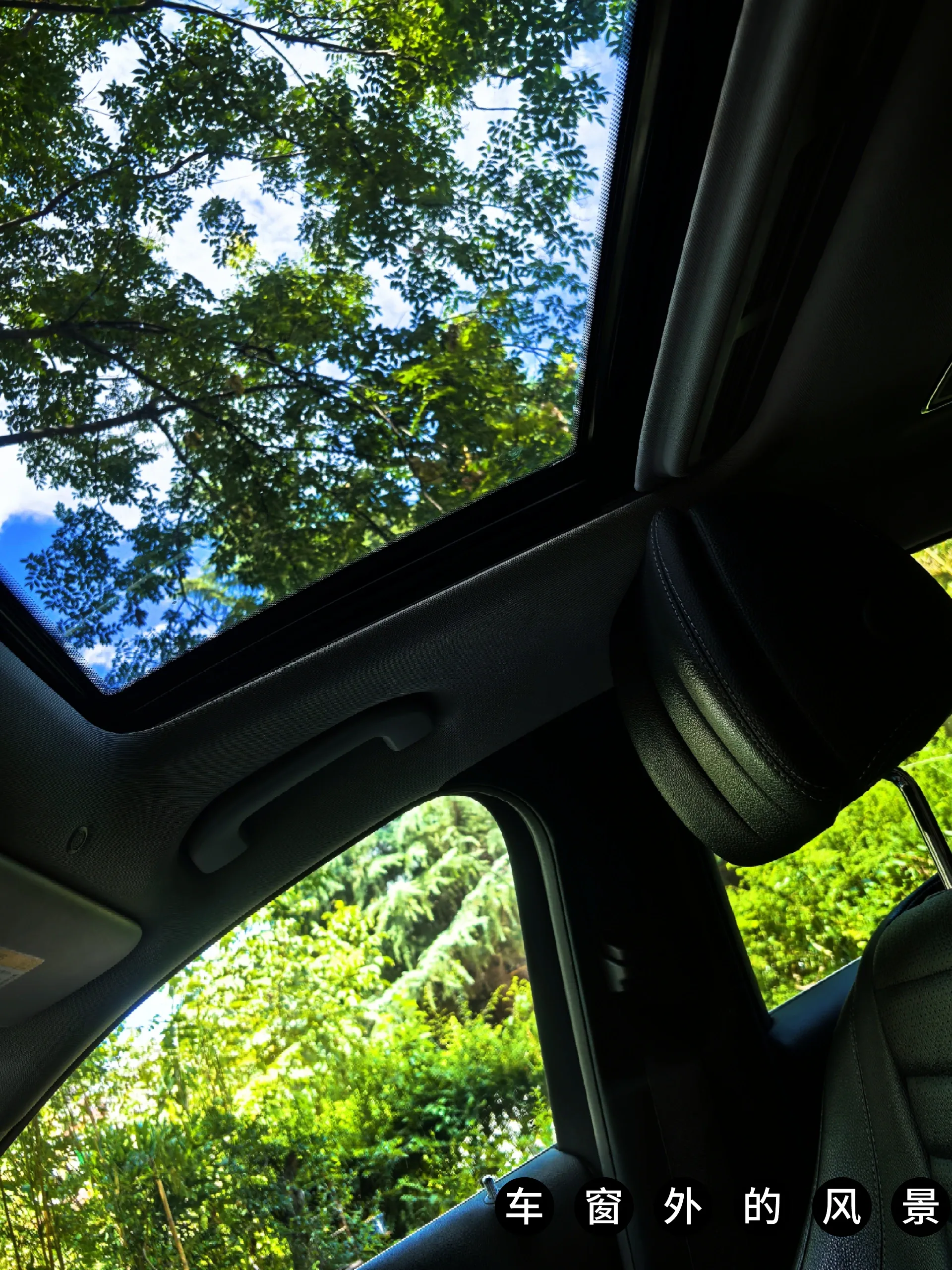 81 年 44 岁｜单身、无孩、独居女性