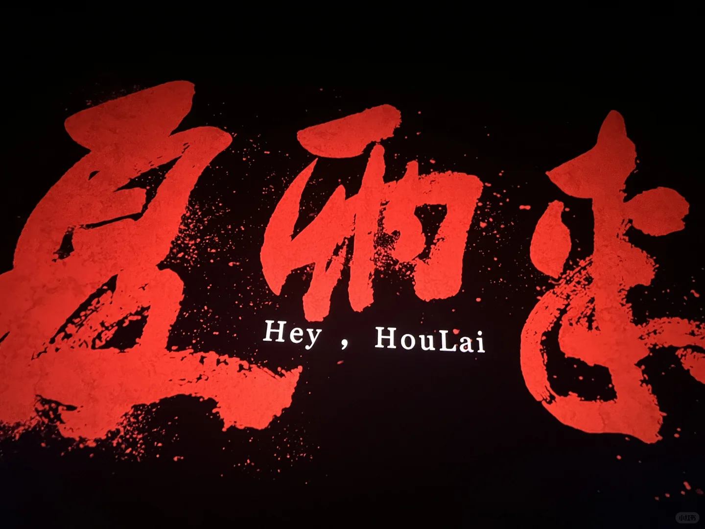 夏雨来电影推介会现场