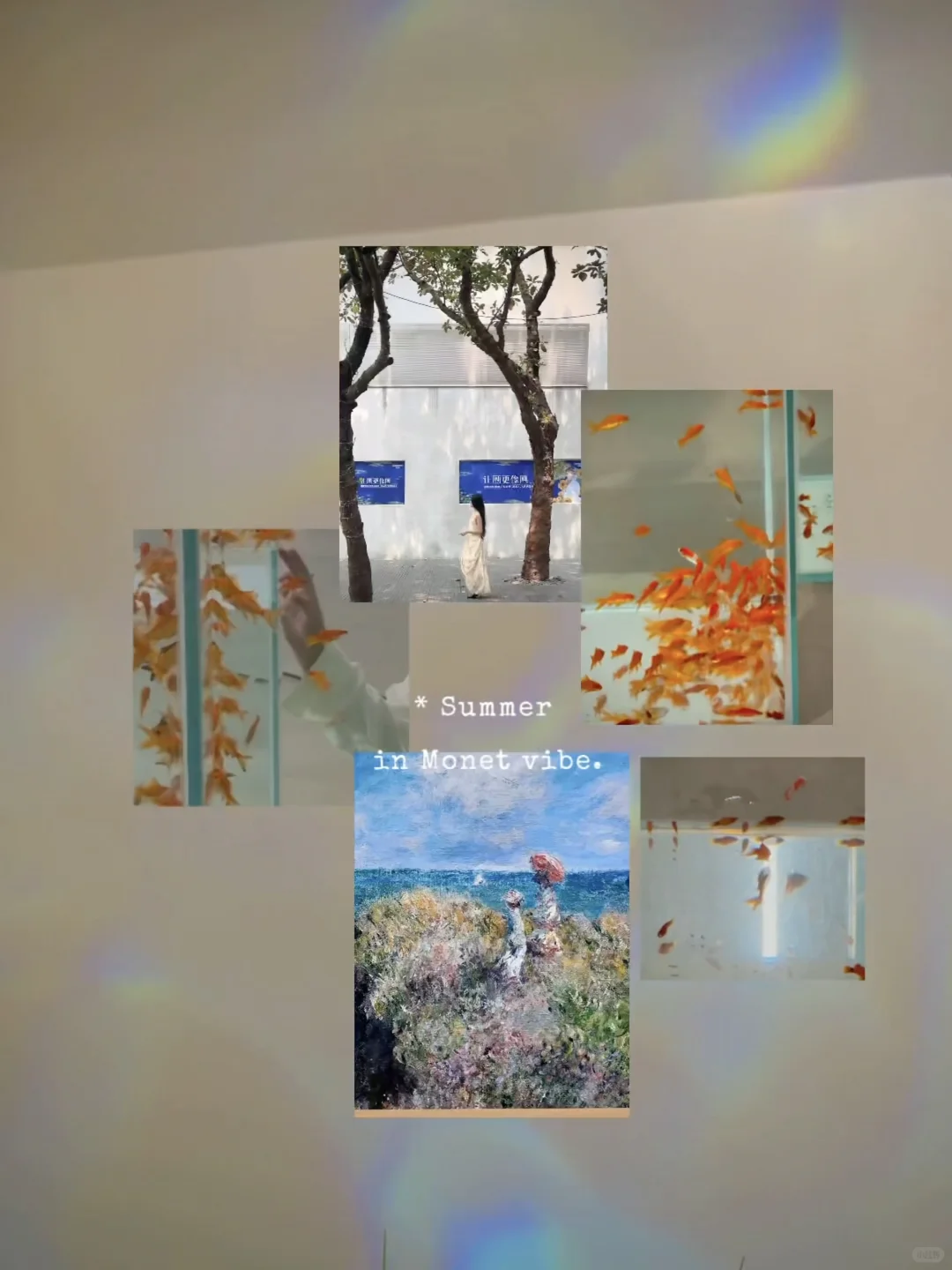 深圳看展,盛夏的莫奈是光的诗人…