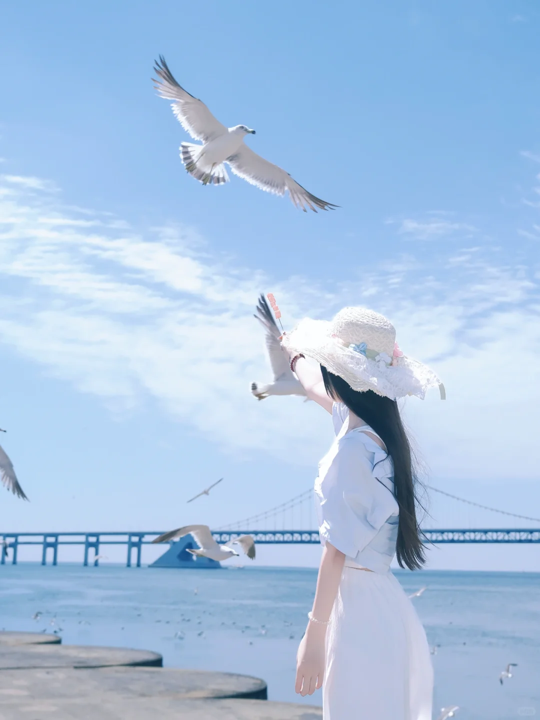 (大连星海约拍/收集小美好...)