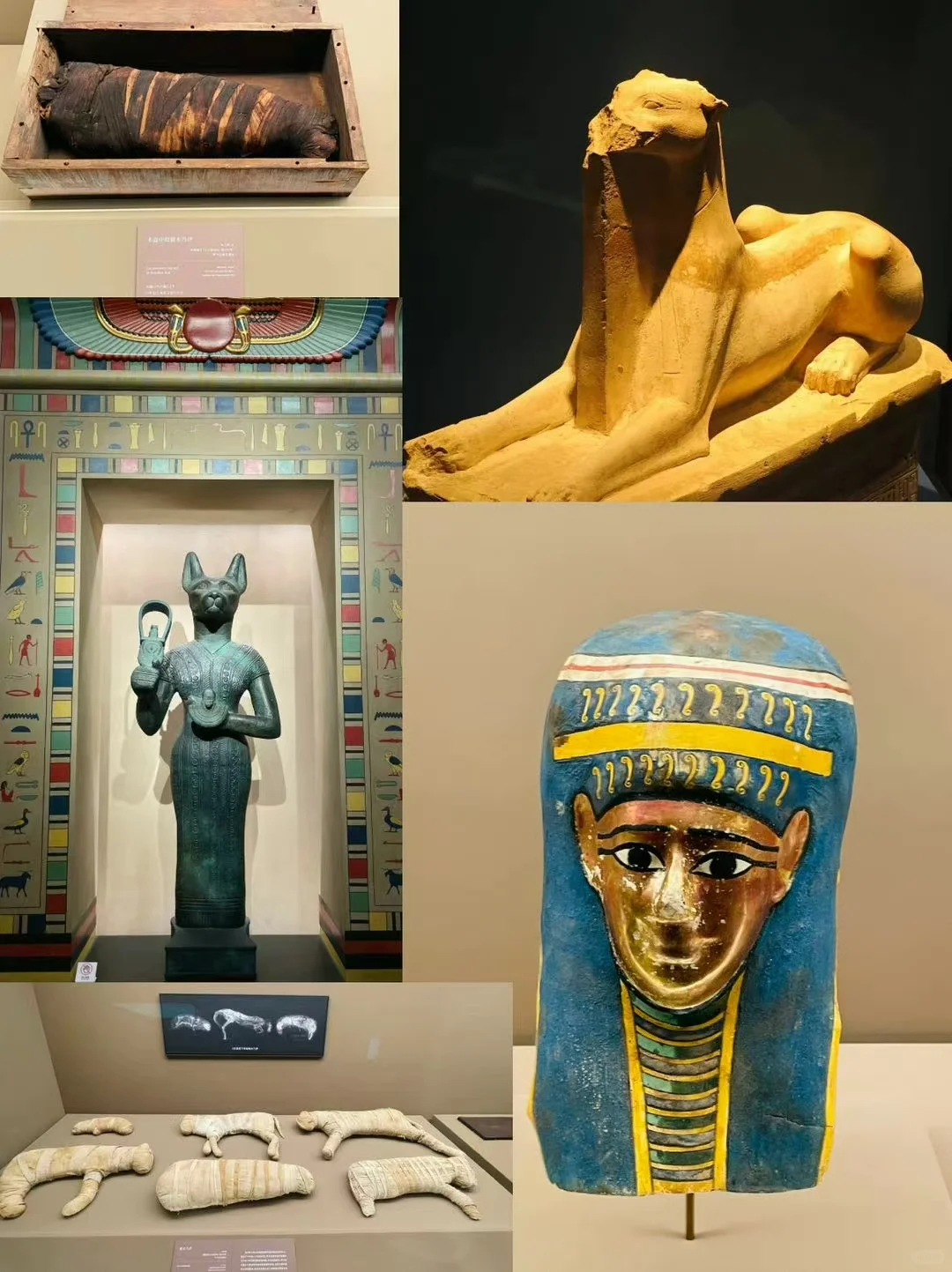 上博埃及展倒计时⏳还没去的抓紧看过来啦
